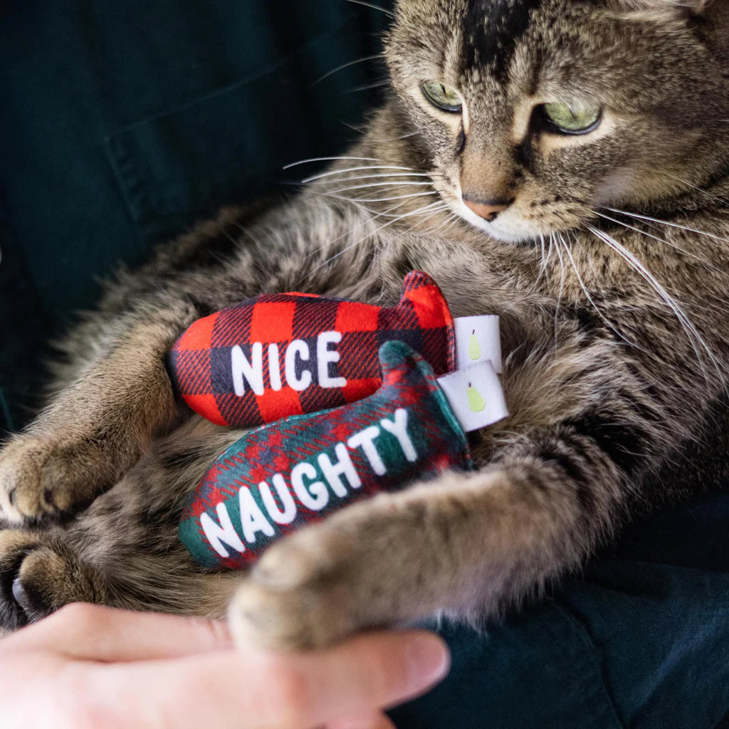 Holiday Naughty & Nice Fish Cat Toys