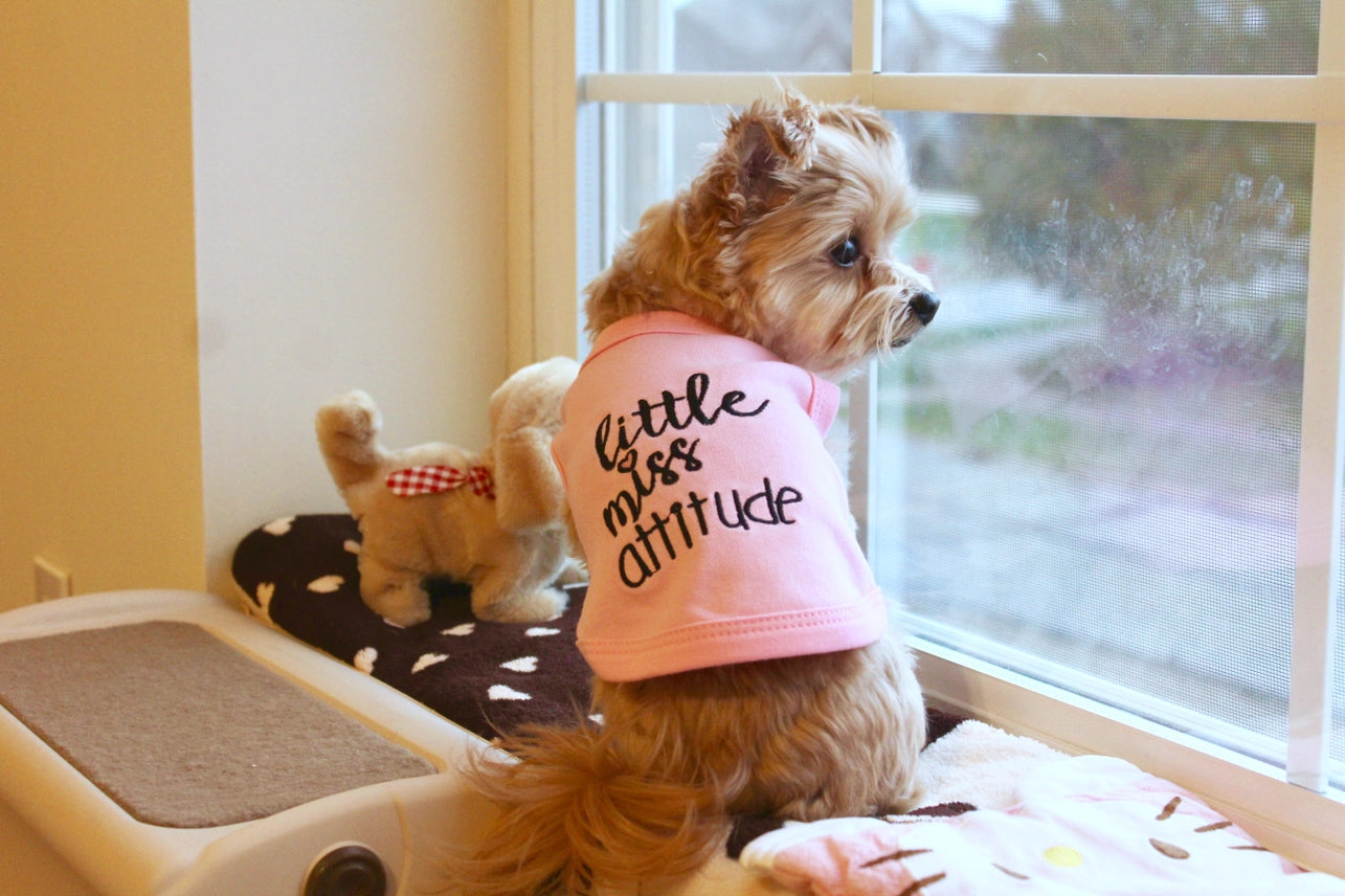 Dog T-Shirt Little Miss Attitude