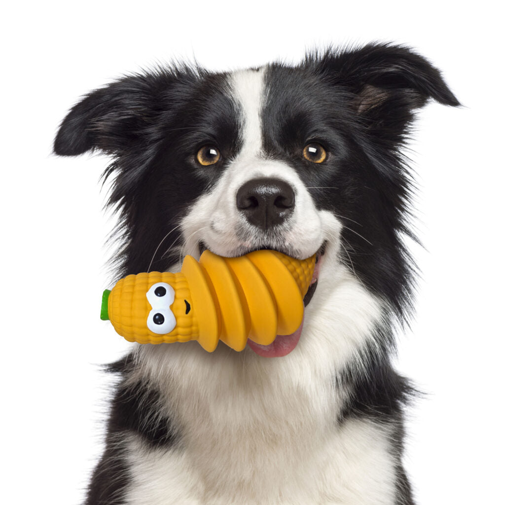 Latex Foods Dog Toy