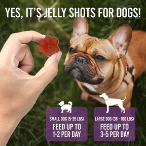 DogTastic Jelly Shots Gelatin Mix for Dogs