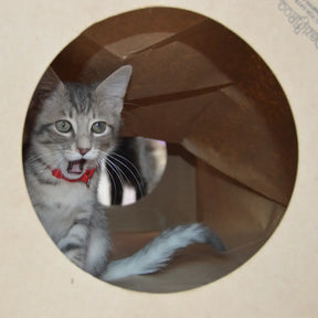 Dezi & Roo - Cat Hide & Sneak Tunnel Paper