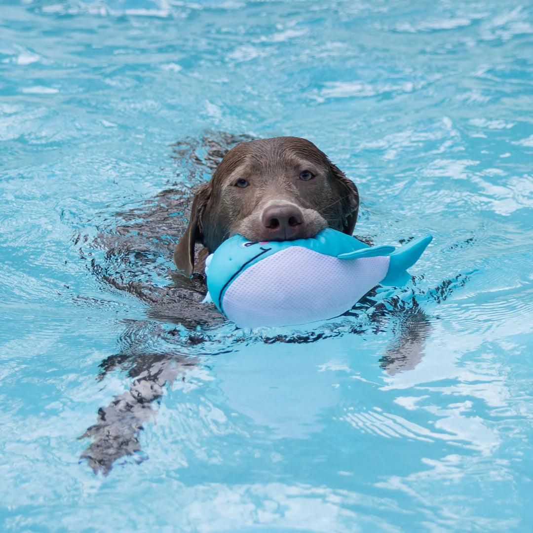 Petshop by Fringe Studio - Splashy Floating Dog Toy