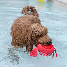 Petshop by Fringe Studio - Claws Floating Dog Toy