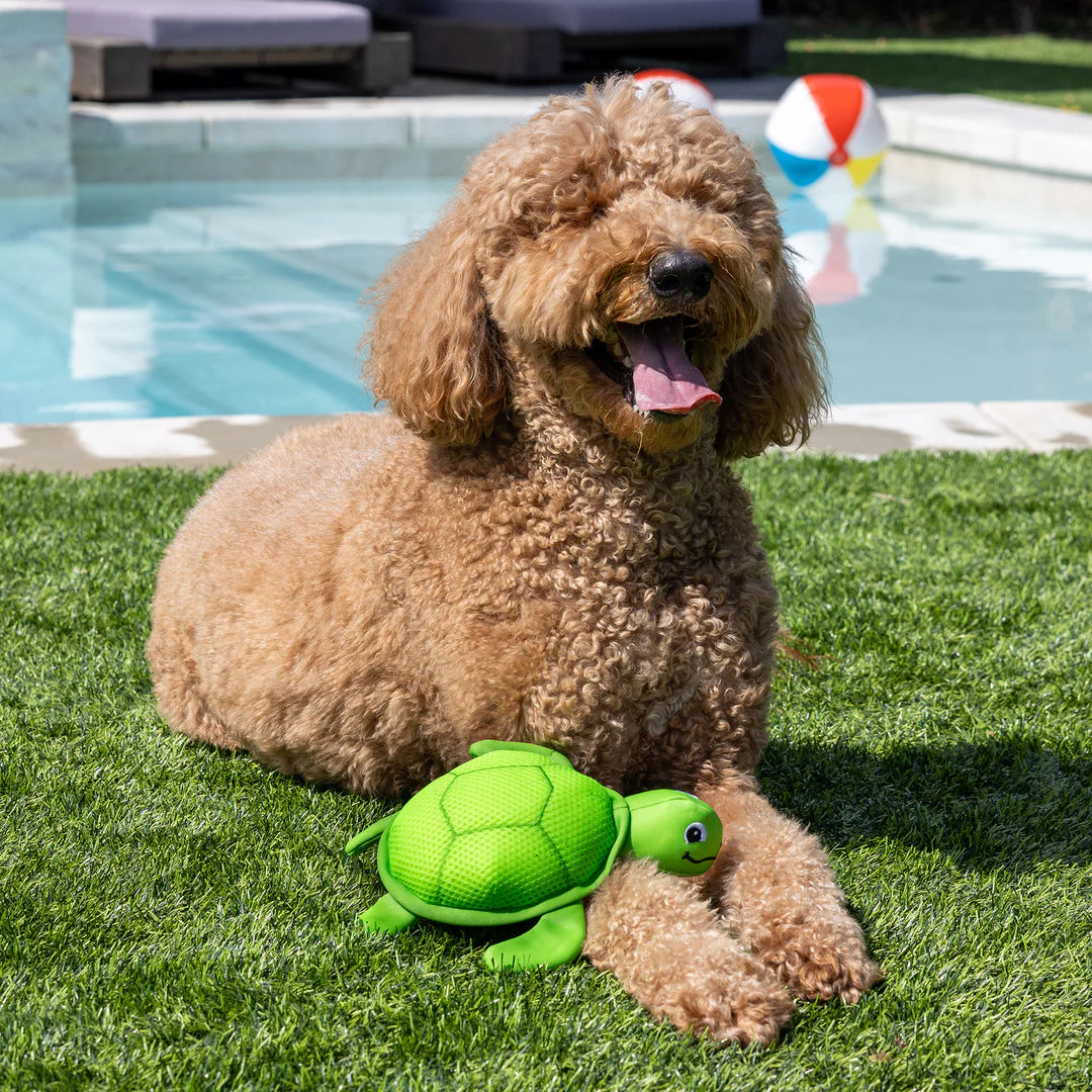 Petshop by Fringe Studio - Snappy Floating Dog Toy