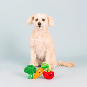 Petshop by Fringe Studio - Dog Toy Farm to Table