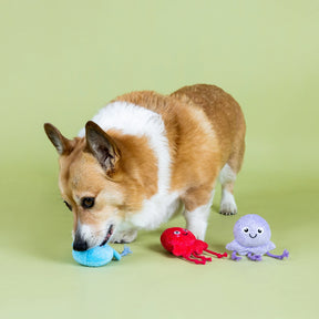 Petshop by Fringe Studio - Dog Toy 3 Piece Set Too Tentacool