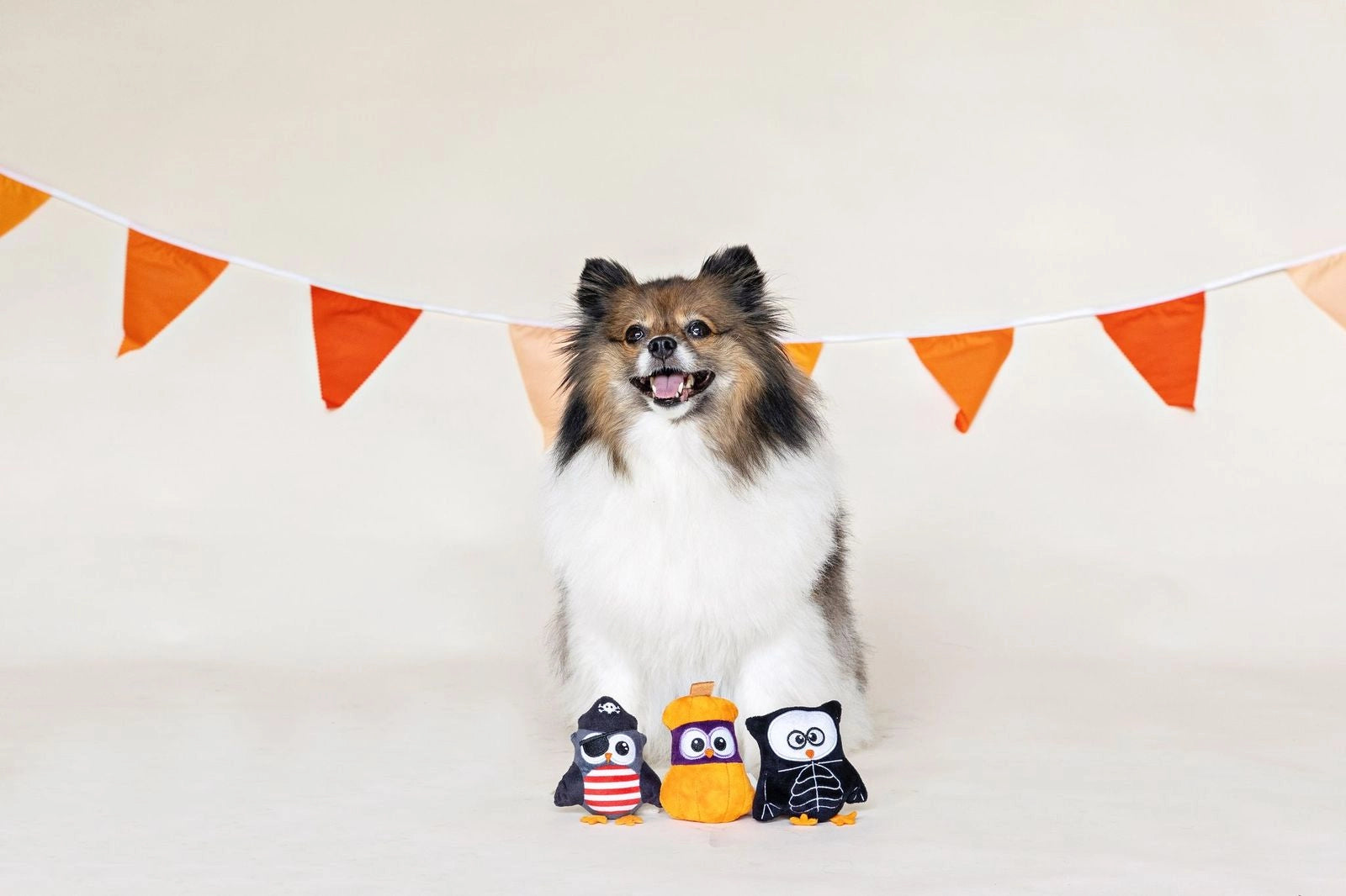 Petshop by Fringe Studio - 3 Piece Set Owl-O-Ween Dog Toy