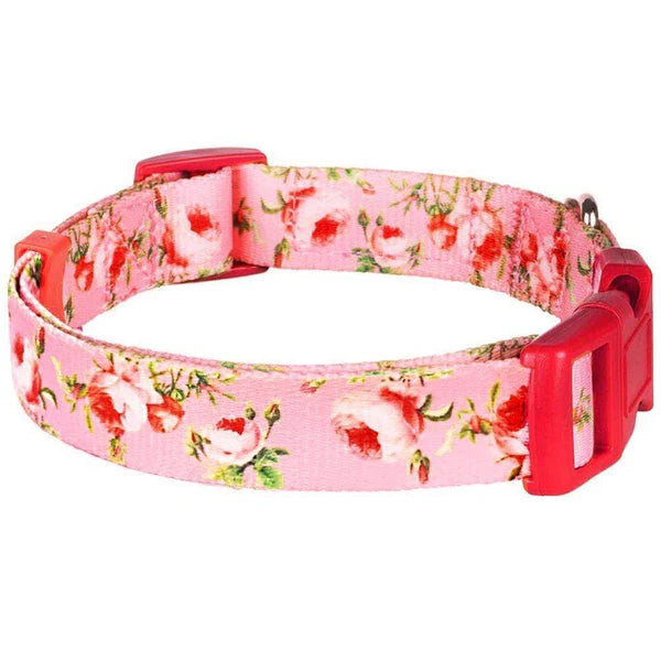 Rose Baby Pink | Petal Paws Floral Dog Collar