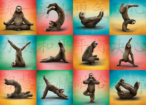 Puzzle Sloth Yoga - 1000 piece