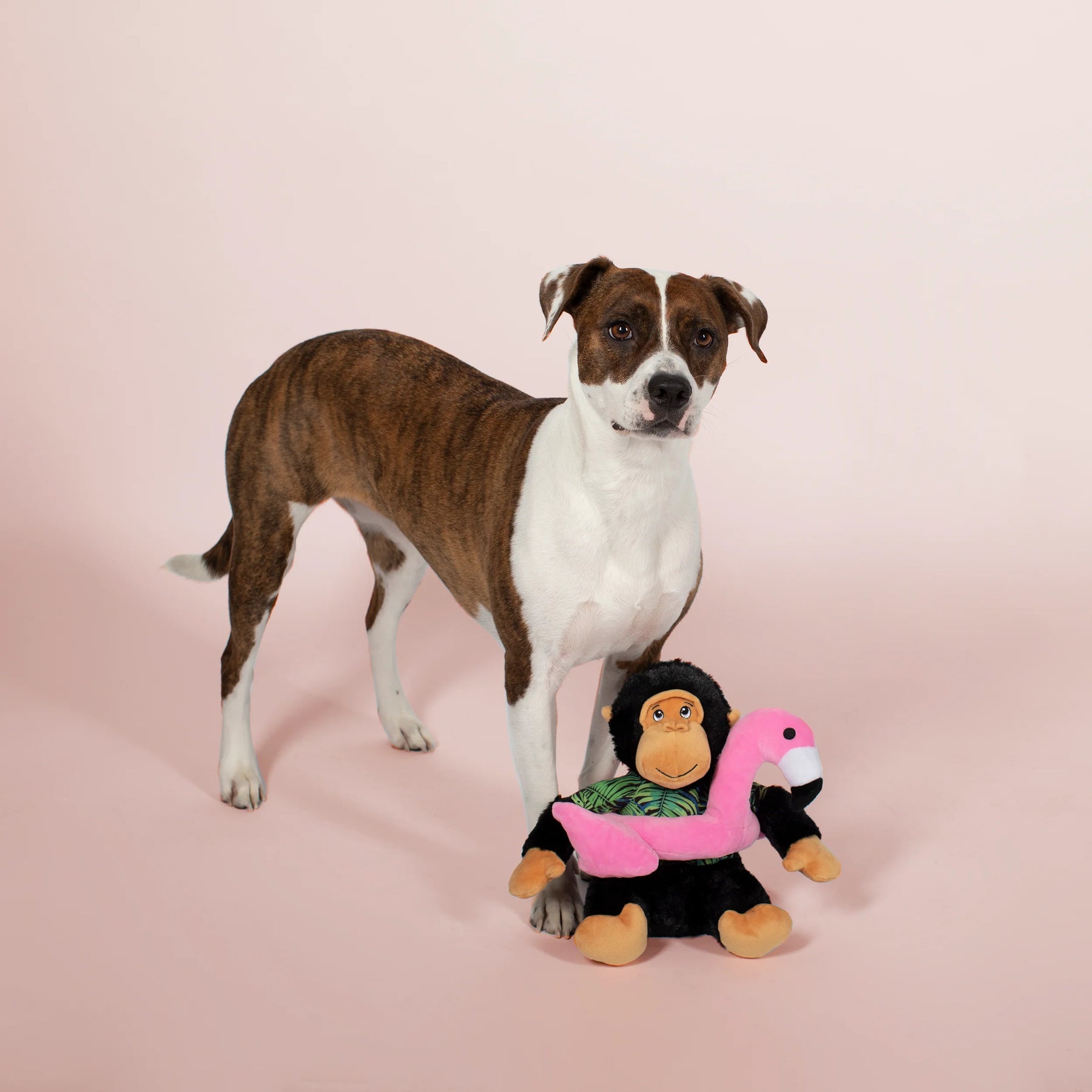 Petshop by Fringe Studio - Dog Toy Gorilla In Flamingo