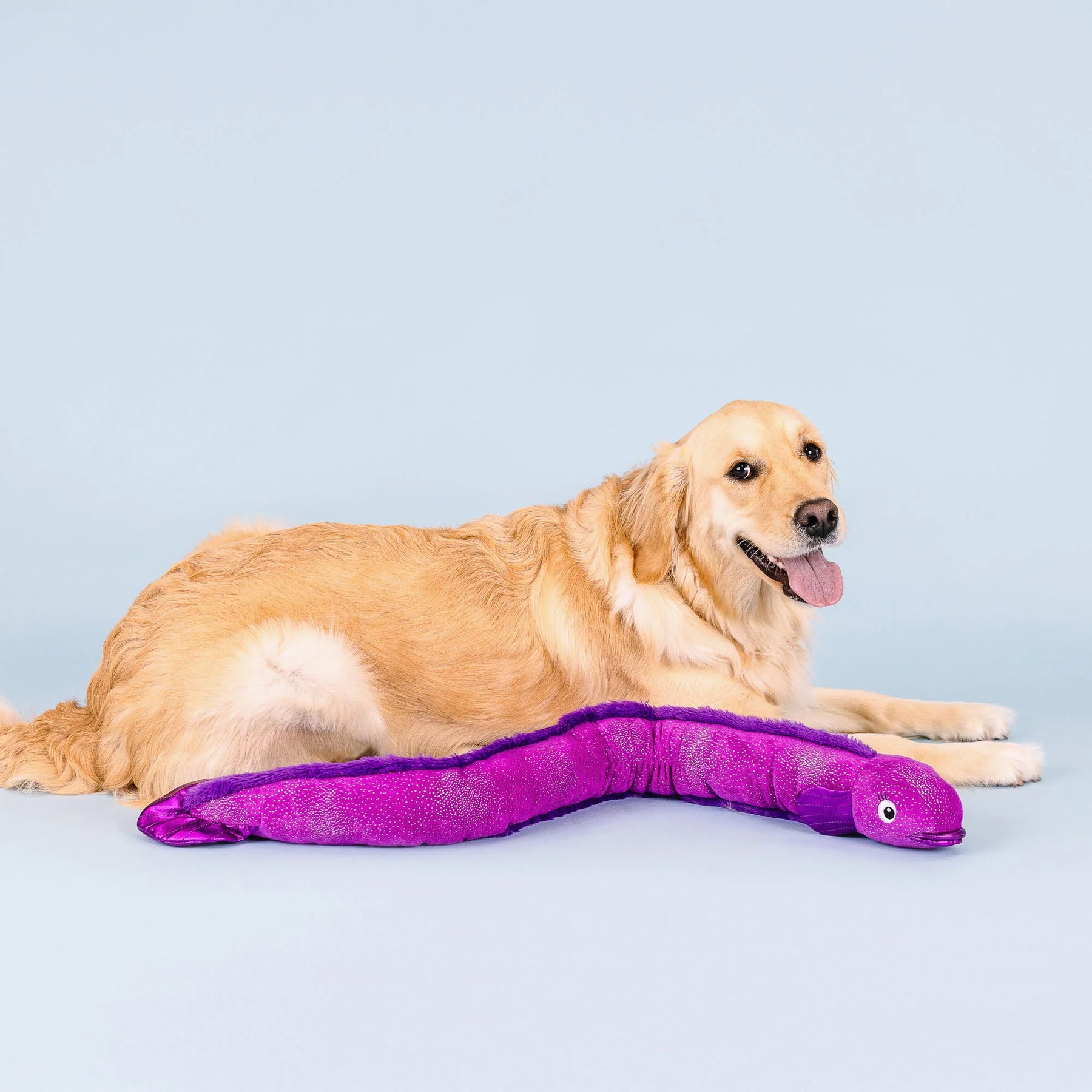 Petshop by Fringe Studio - Dog Toy Kind of a Big Eel