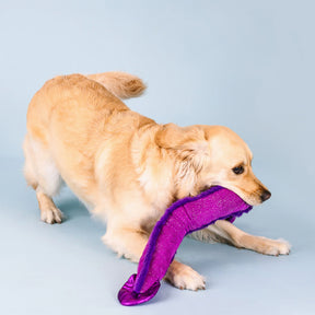 Petshop by Fringe Studio - Dog Toy Kind of a Big Eel