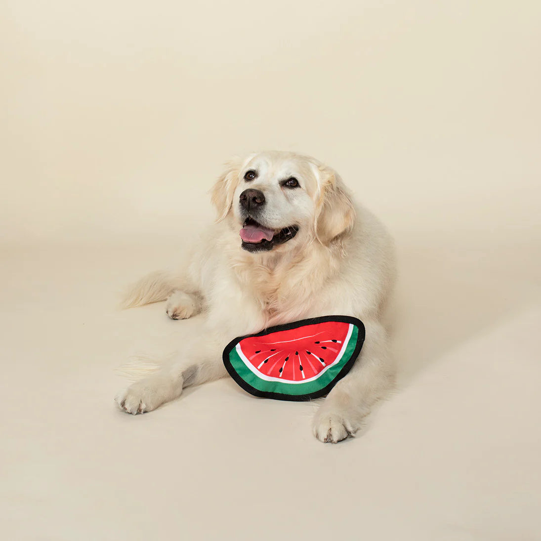 Petshop by Fringe Studio - Dog Toy Watermelon