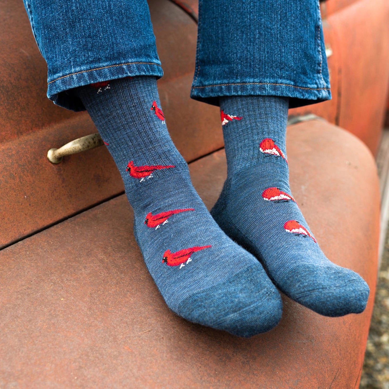 Friday Sock Co. - Women's Socks Cardinal/Robin Mismatched