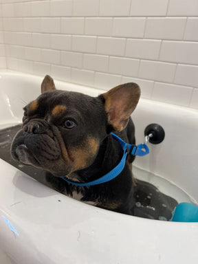 Bath Leash with Suction Cup