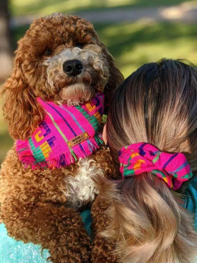 Mom and Pup Co. - Bandana & Scrunchy Matching Spring Black