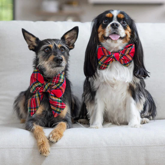 Dog Bow Lady Tartan Plaid Flannel Christmas