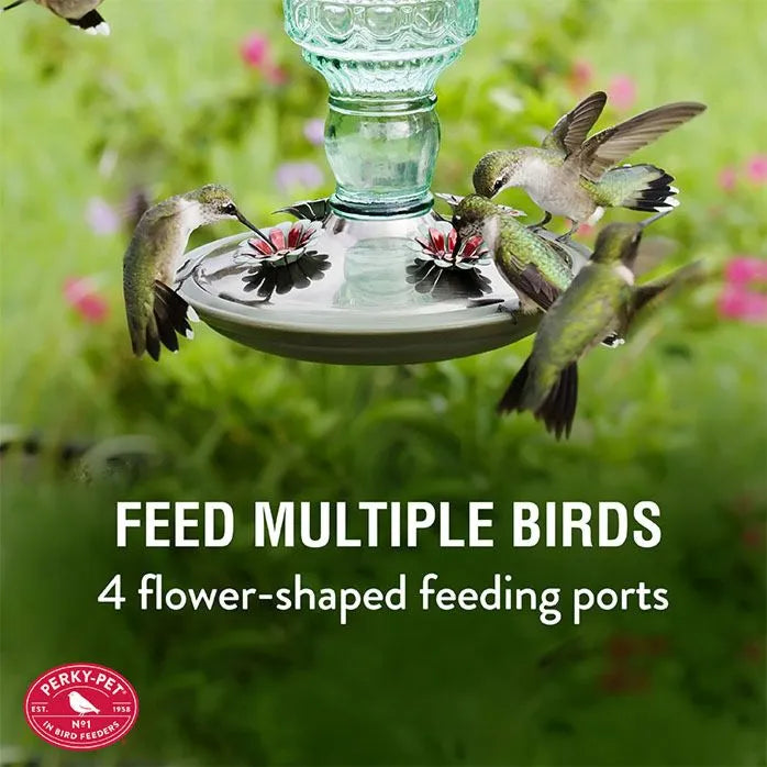 Perky Pet Hummingbird Feeder