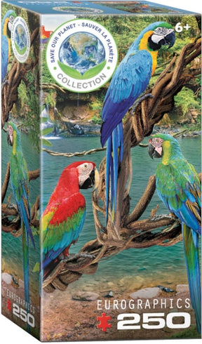 Puzzle Macaws