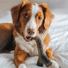 Benebone - Bacon Stick Nylon Chew Toy