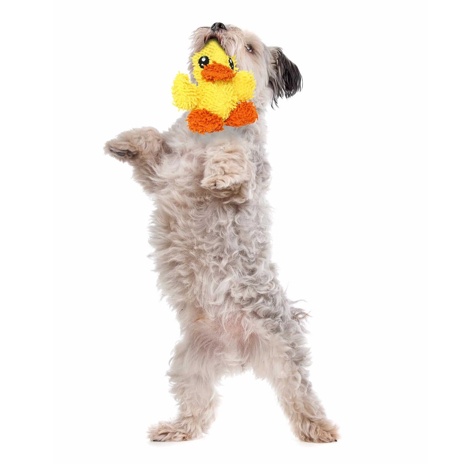 Mighty Junior Microfiber Ball Duck Squeaky Durable Toy