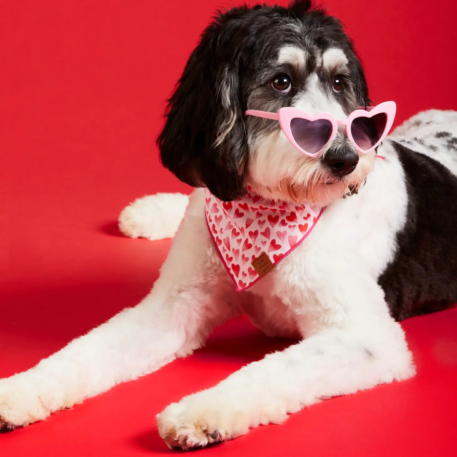 Bandana Dog Heart Throb