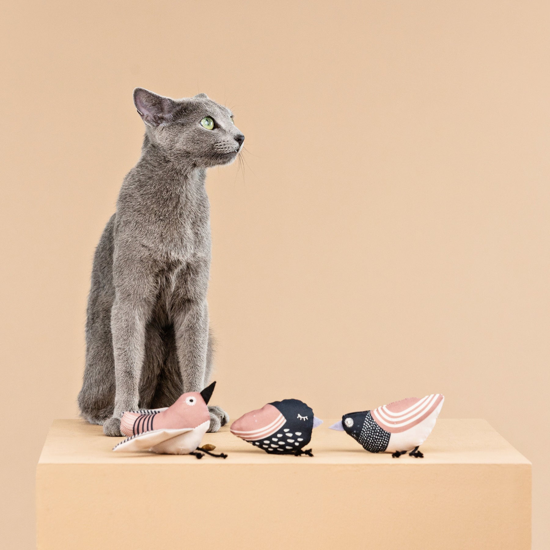 Petshop by Fringe Studio - Cat Toy Under My Wings