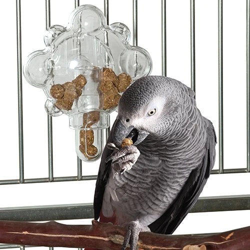 Caitec - Food Tumbler Interactive Treat Holder for Birds