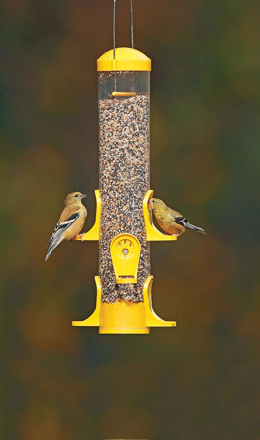 More Birds - Thistle Tube Feeder