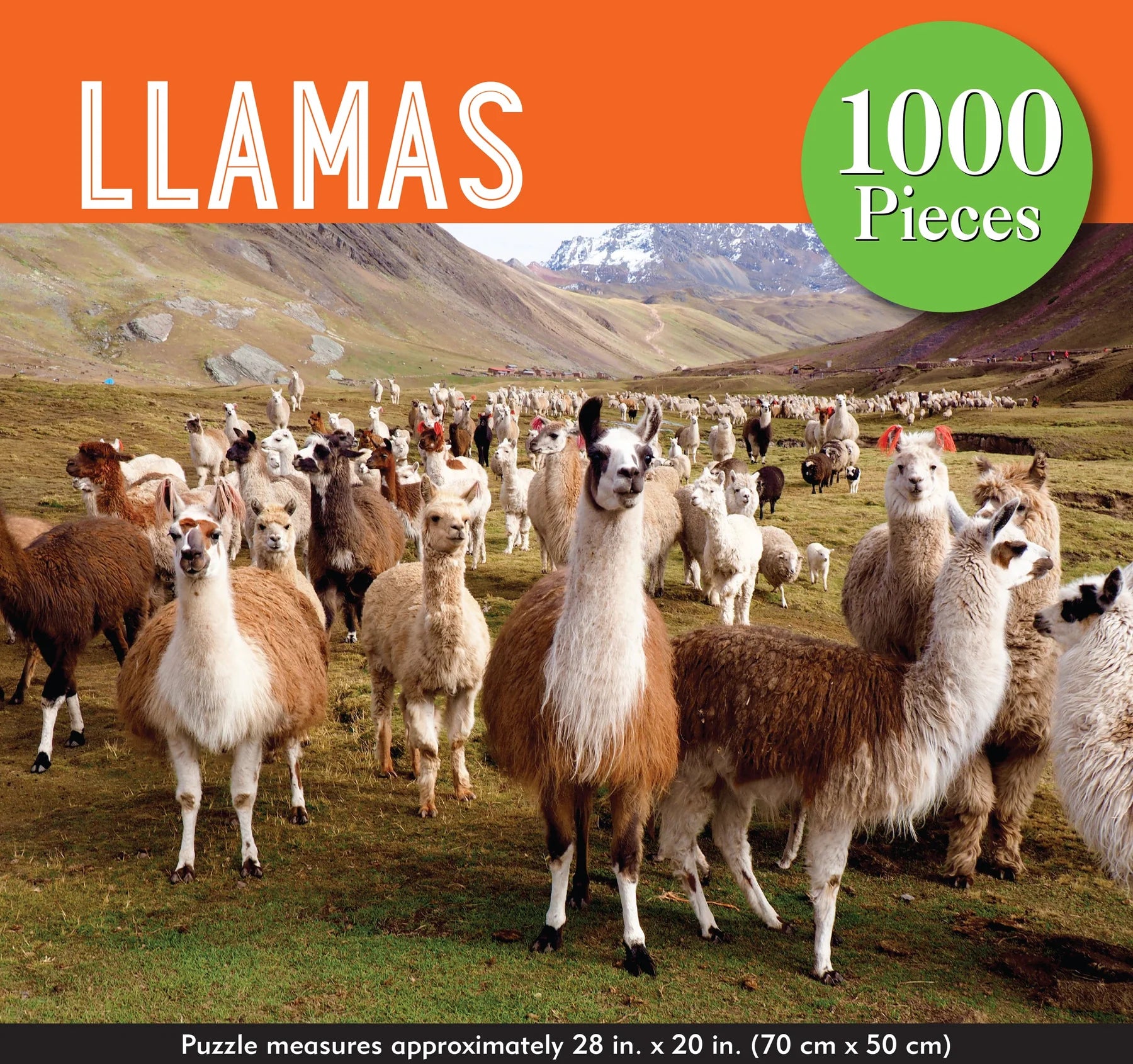 Puzzle Llamas 1000 Piece