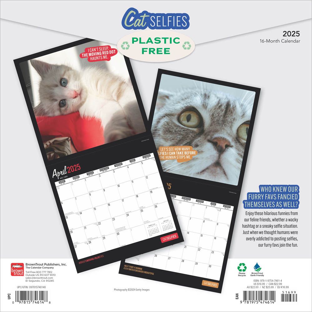 2025 Cat Selfies Calendar