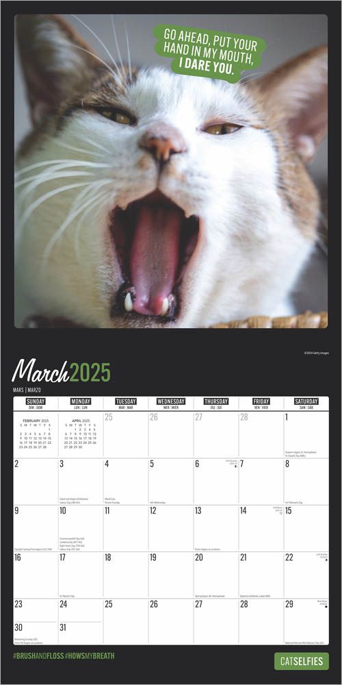 2025 Cat Selfies Calendar