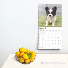 2025 Chihuahua Puppies Calendar