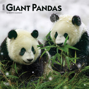 2025 Giant Pandas Calendar