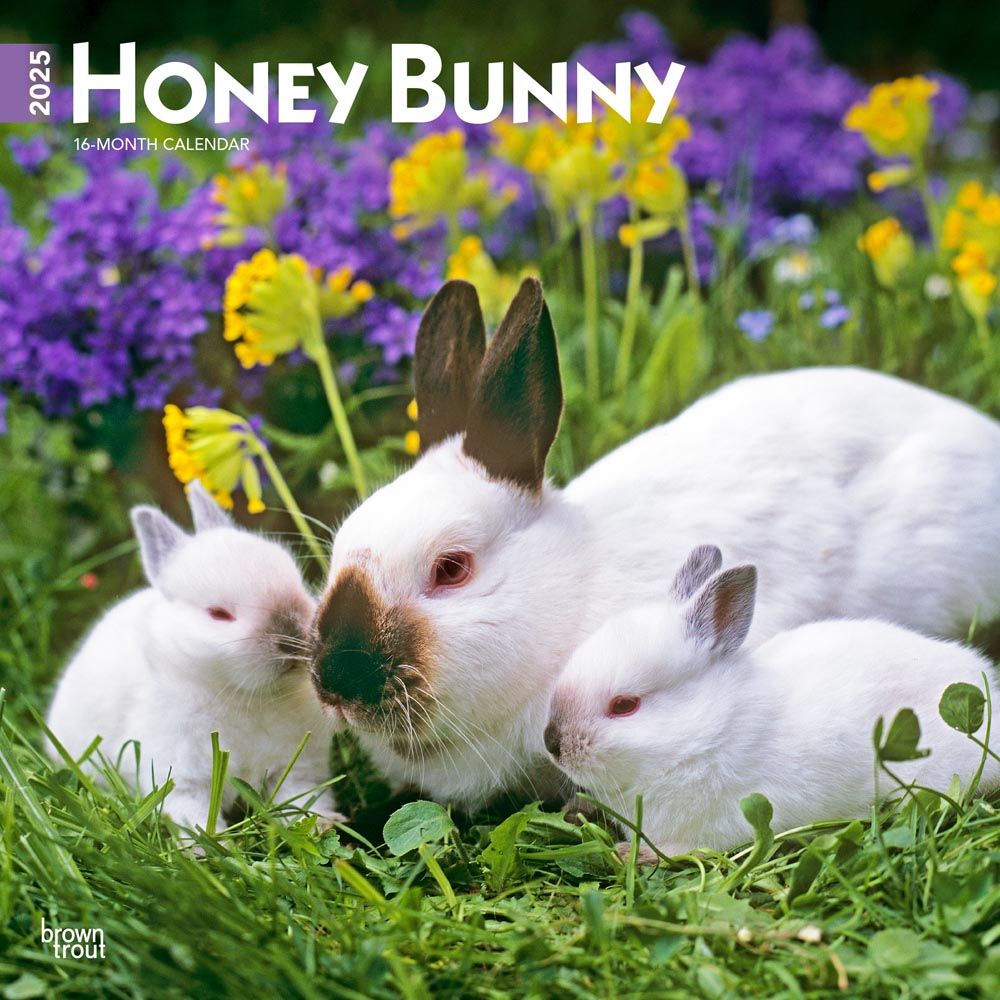 2025 Honey Bunny Calendar