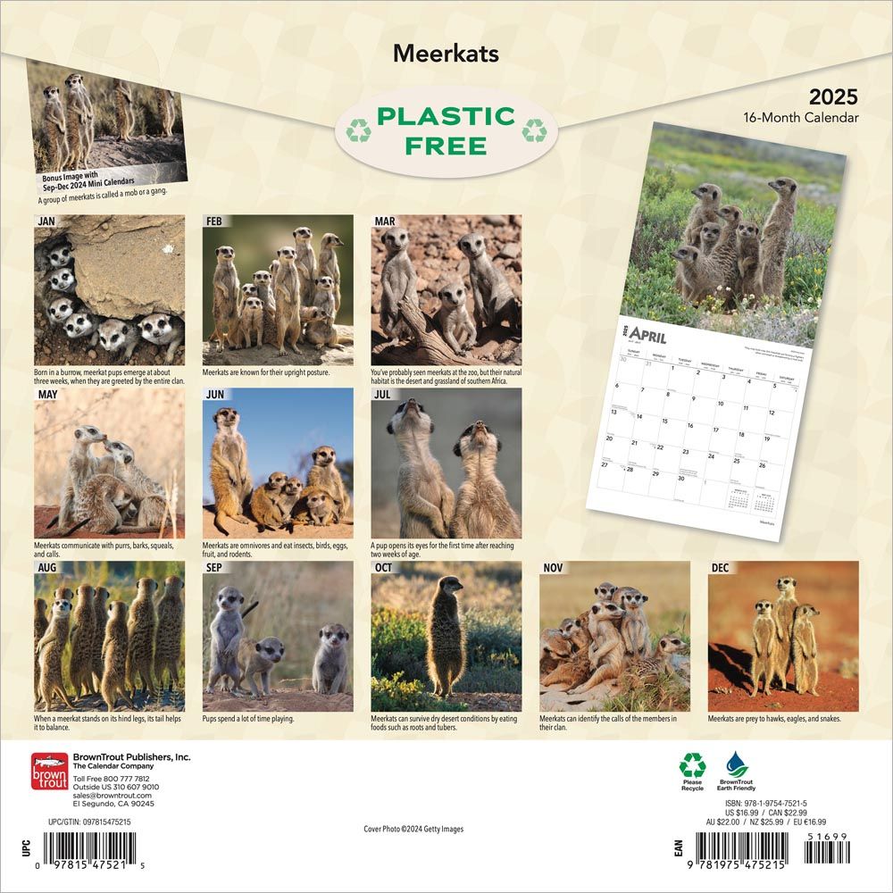 2025 Meerkats Calendar