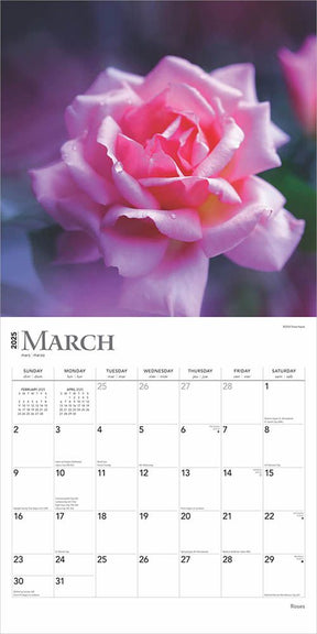 2025 Roses Calendar