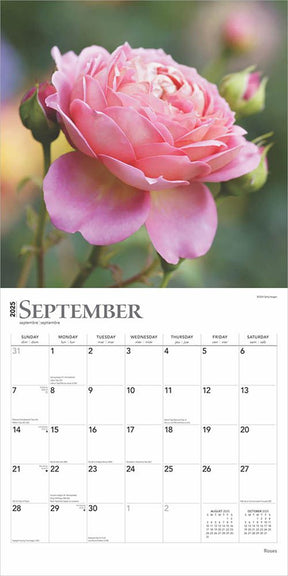 2025 Roses Calendar