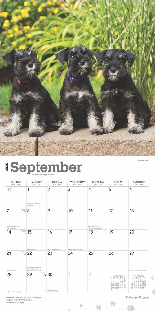 2025 Schnauzer Puppies Calendar