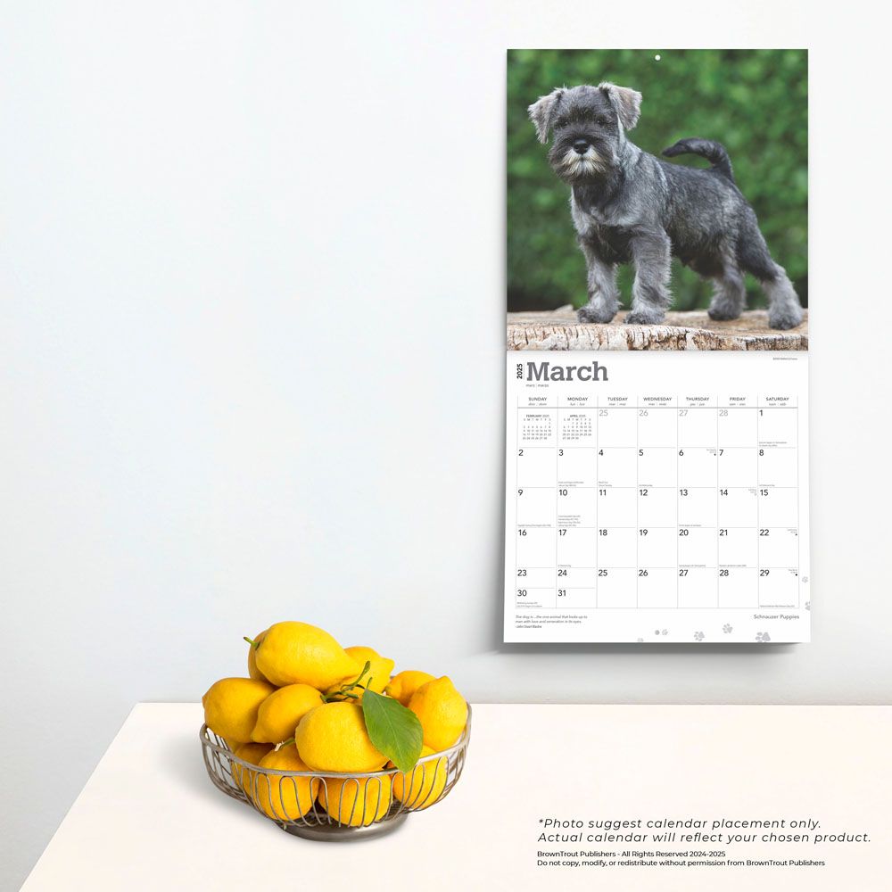 2025 Schnauzer Puppies Calendar