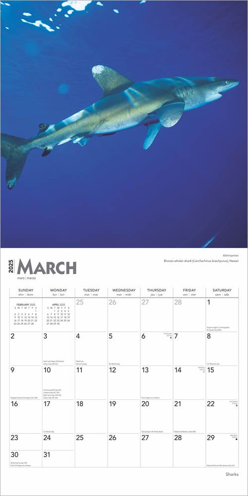 2025 Sharks Calendar