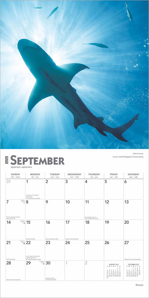 2025 Sharks Calendar