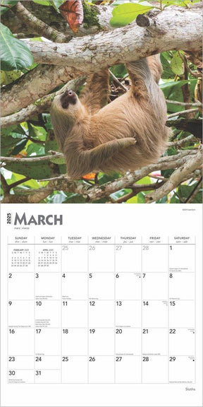 2025 Sloths Calendar