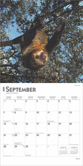 2025 Sloths Calendar