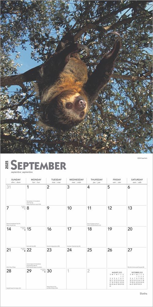 2025 Sloths Calendar