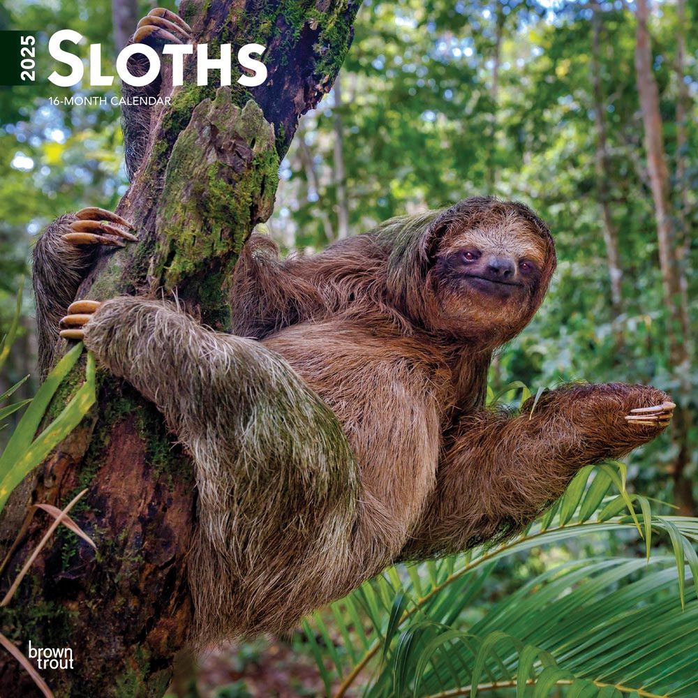 2025 Sloths Calendar