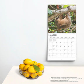 2025 Sloths Calendar