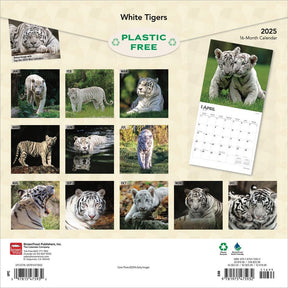 2025 White Tigers Calendar