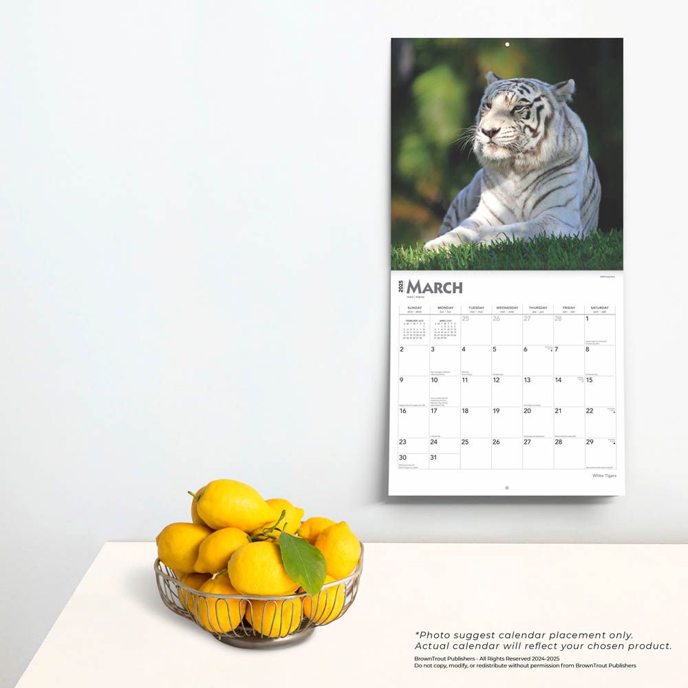 2025 White Tigers Calendar