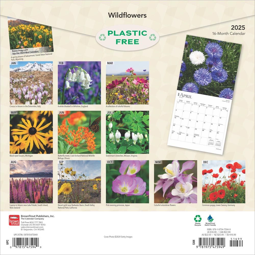 2025 Wildflowers Calendar